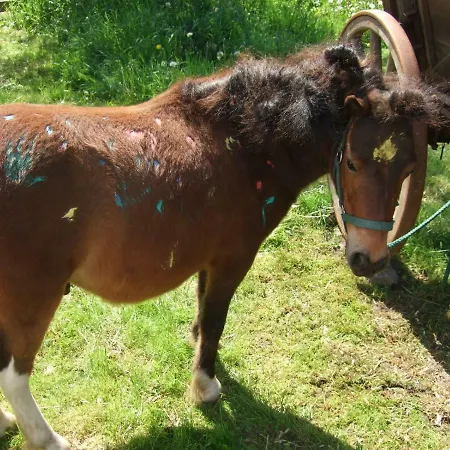 Lejlighed Hof Kranichweide, 