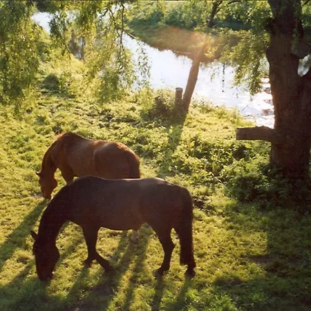 Lejlighed Hof Kranichweide, 