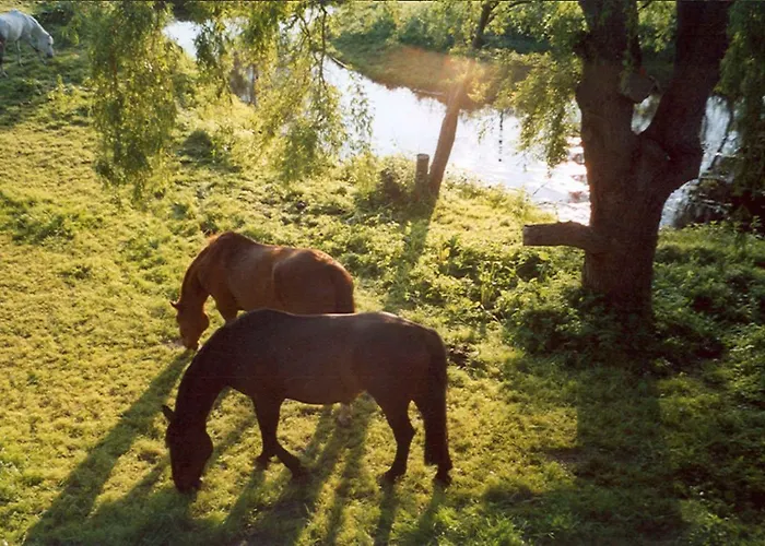 아파트 Hof Kranichweide, 